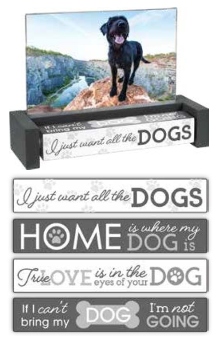 4x6 Spin Quotes - Dog