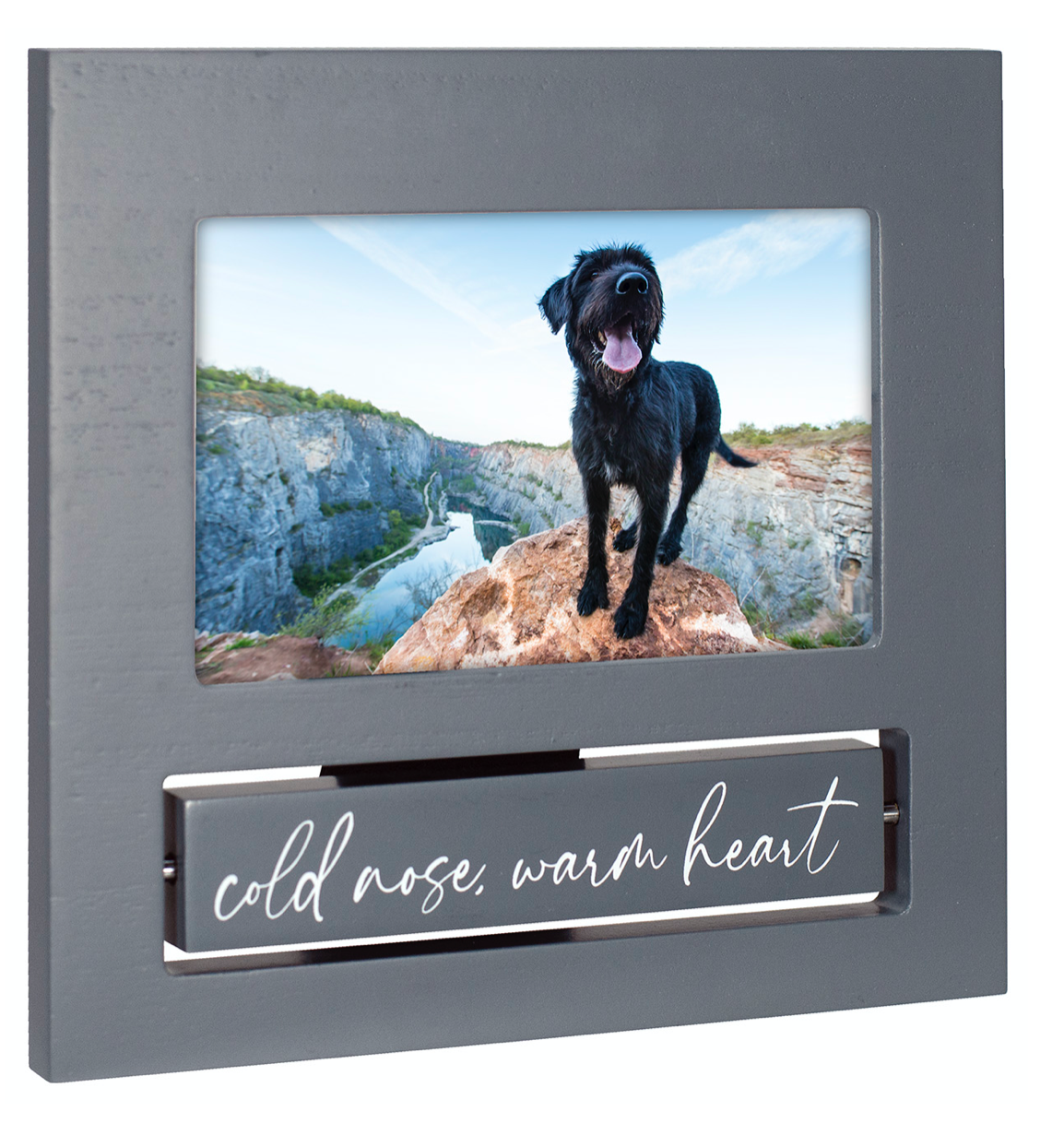 4x6 Flip it - Dog