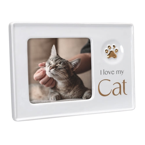 4x4 Ceramic - Cat