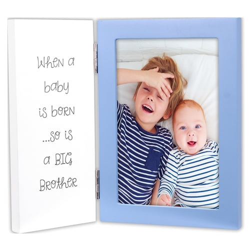 4x6 Hinged - Big Brother